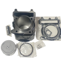 SİLİNDİR SET [EM] X MAX 250