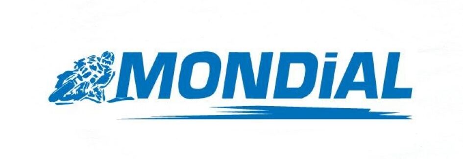 DİSK BALATA ÖN - HONDA FORZA - DRIFT L ARKA