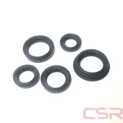 KEÇE 5 Lİ WEGO CSR