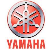 BEYİN [CDI] NMAX [ORJİNAL]