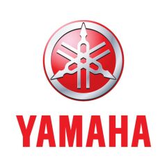 ÇAMURLUK [MATBEYAZ] Yamaha R25 [ORJİNAL] 2019