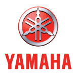 ARKA DİŞLİ 40T YAMAHA YBR