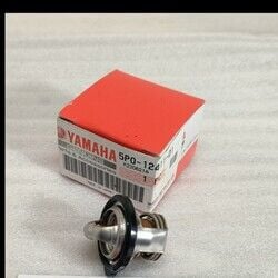 TERMOSTAT R25 [ORJİNAL]
